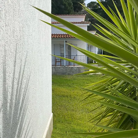 Calma Platanias (Skiathos)