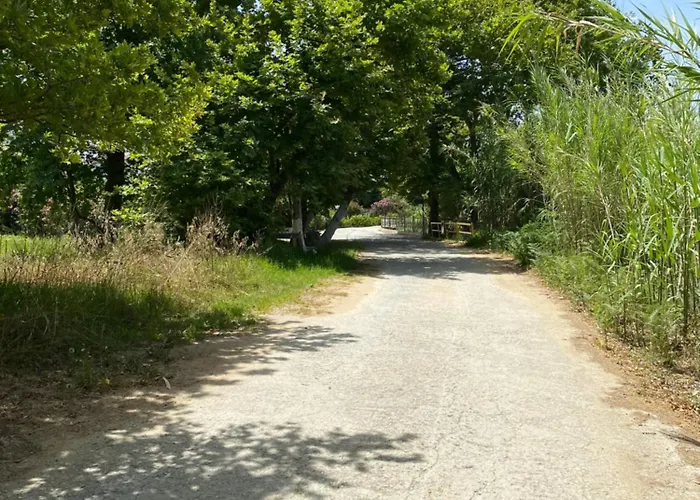 Calma Case de vacanță *